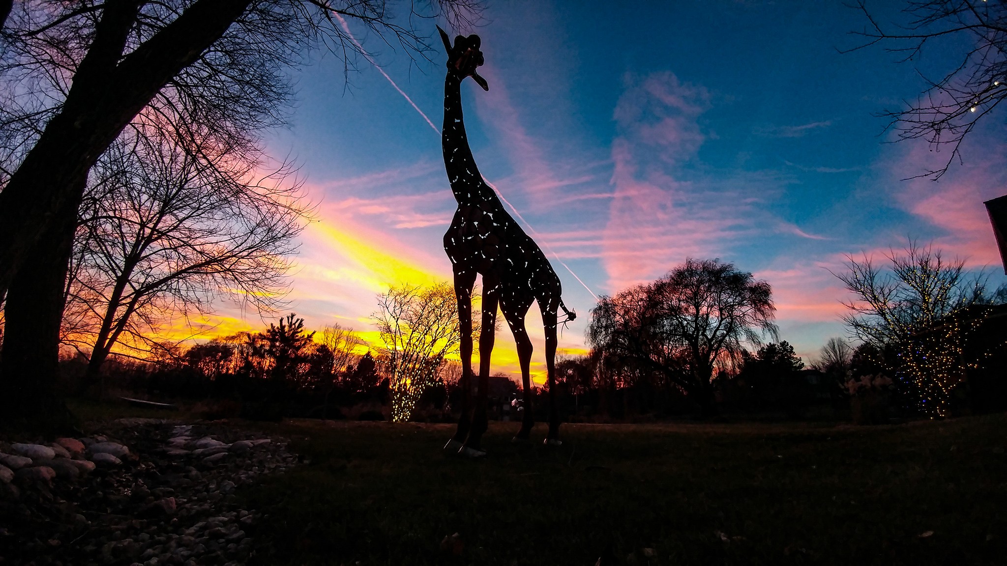 Life-sized metal giraffe sculpture by Richard Van Heuvelen